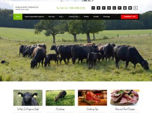 Angus East Organics Website Design Internet Marketing