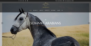 Summit Arabians Website Design Internet Marketing